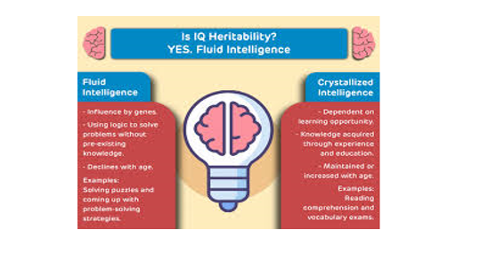 Is IQ Hereditary